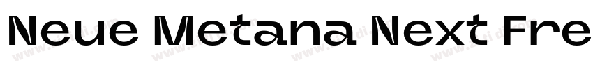 Neue Metana Next Fre字体转换